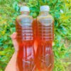 mua mật ong khoái rừng chuẩn nguyên chất