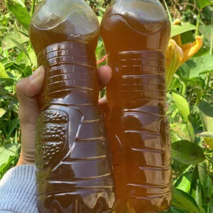 chai mật ong rừng ruồi chuẩn thiên nhiên