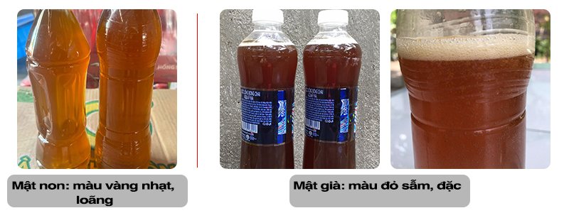 phân biệt mật ong rừng già và non